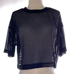 Forever 21 - sheer black striped crop top